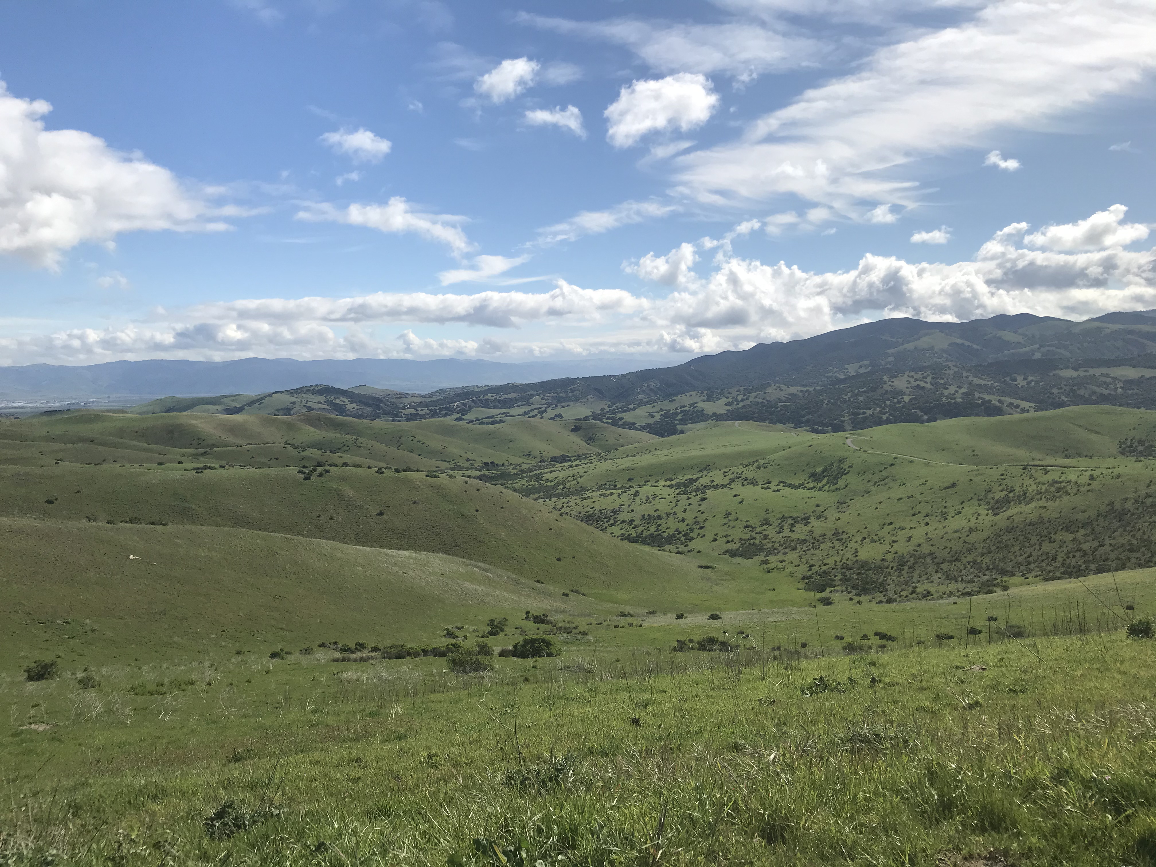 Goat Trail (Trail 41)