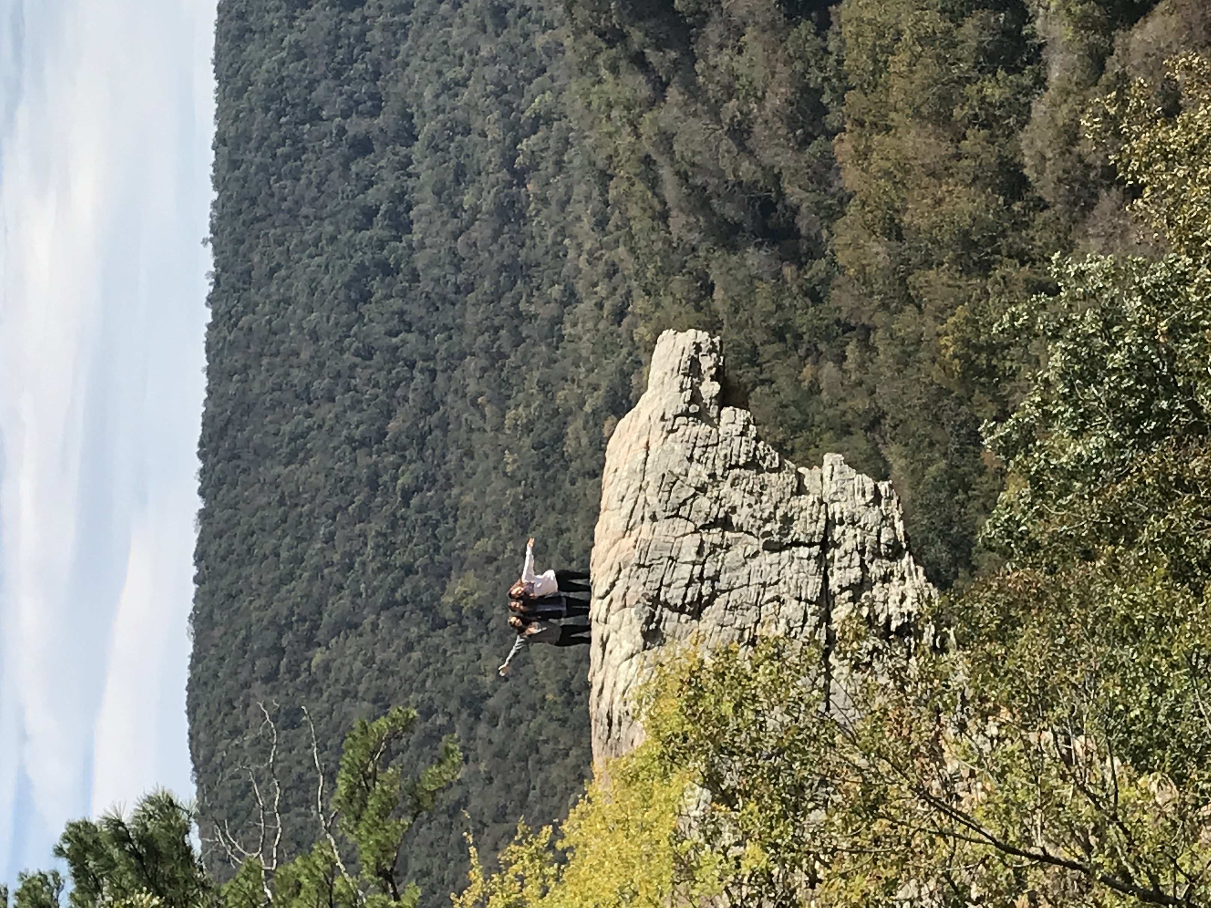 Hawksbill Crag via Whitaker Point Trail