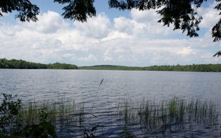 Ohana Roots Camp at Sandy Pond