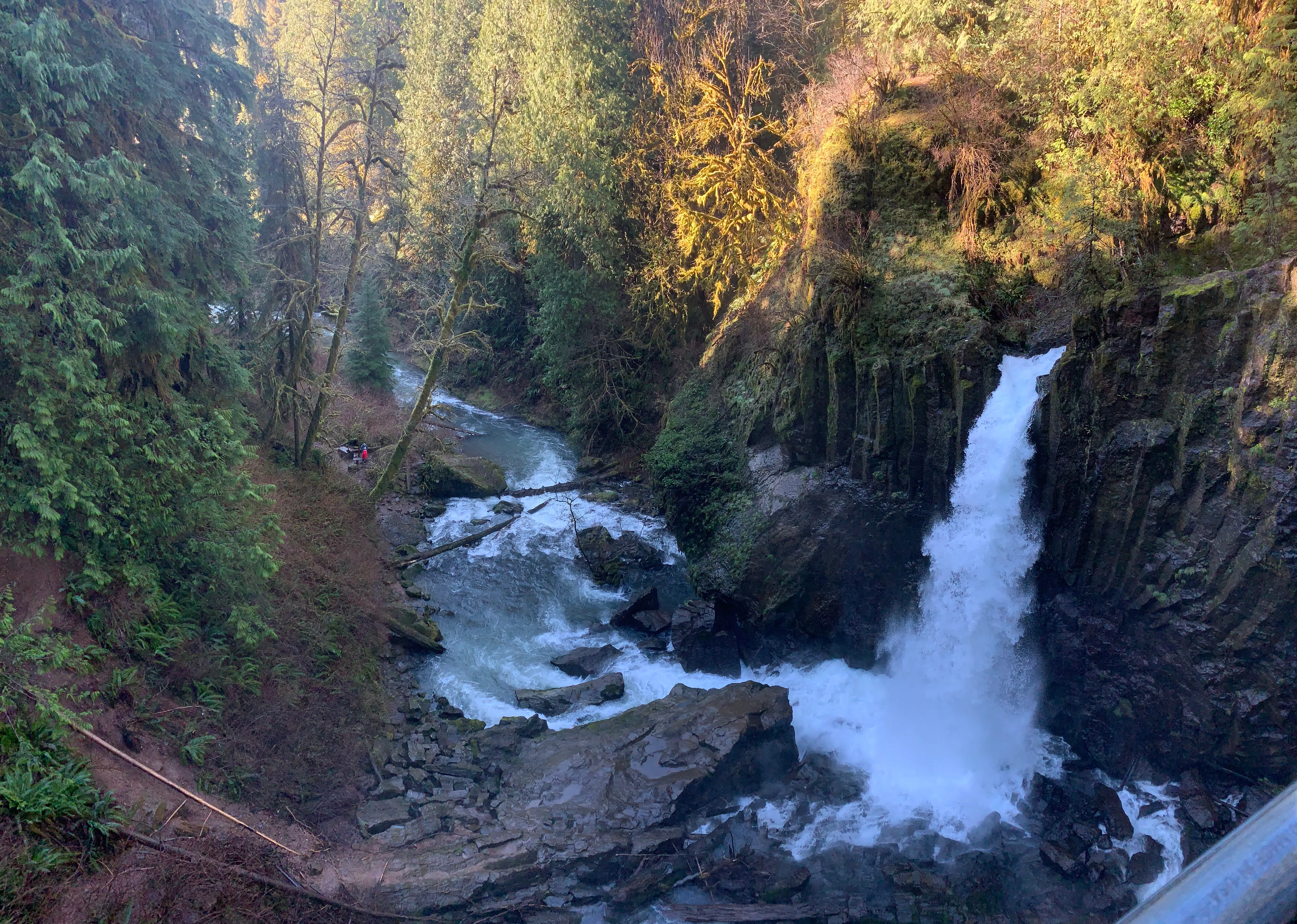 Drift Creek Falls