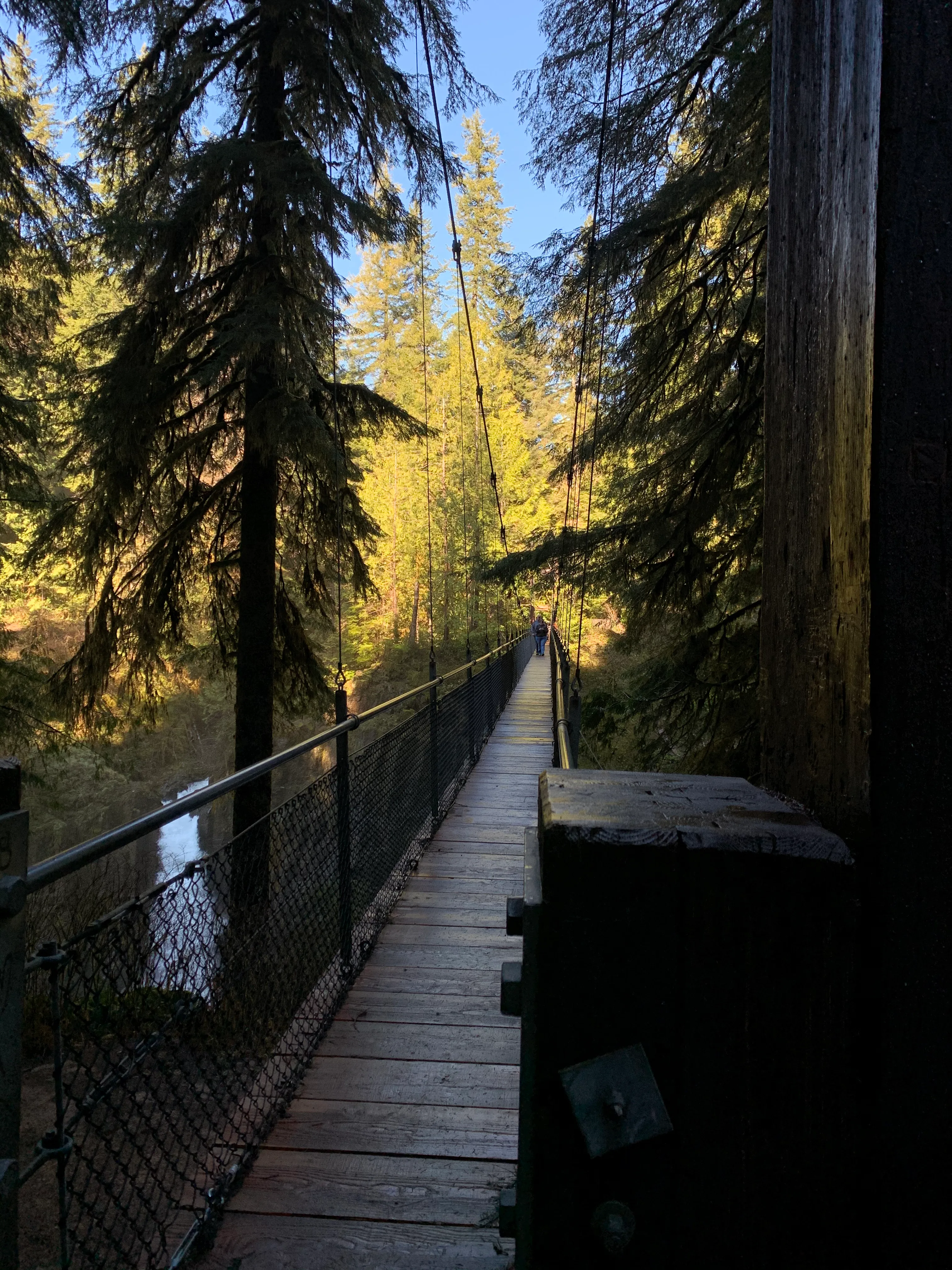Drift Creek Falls
