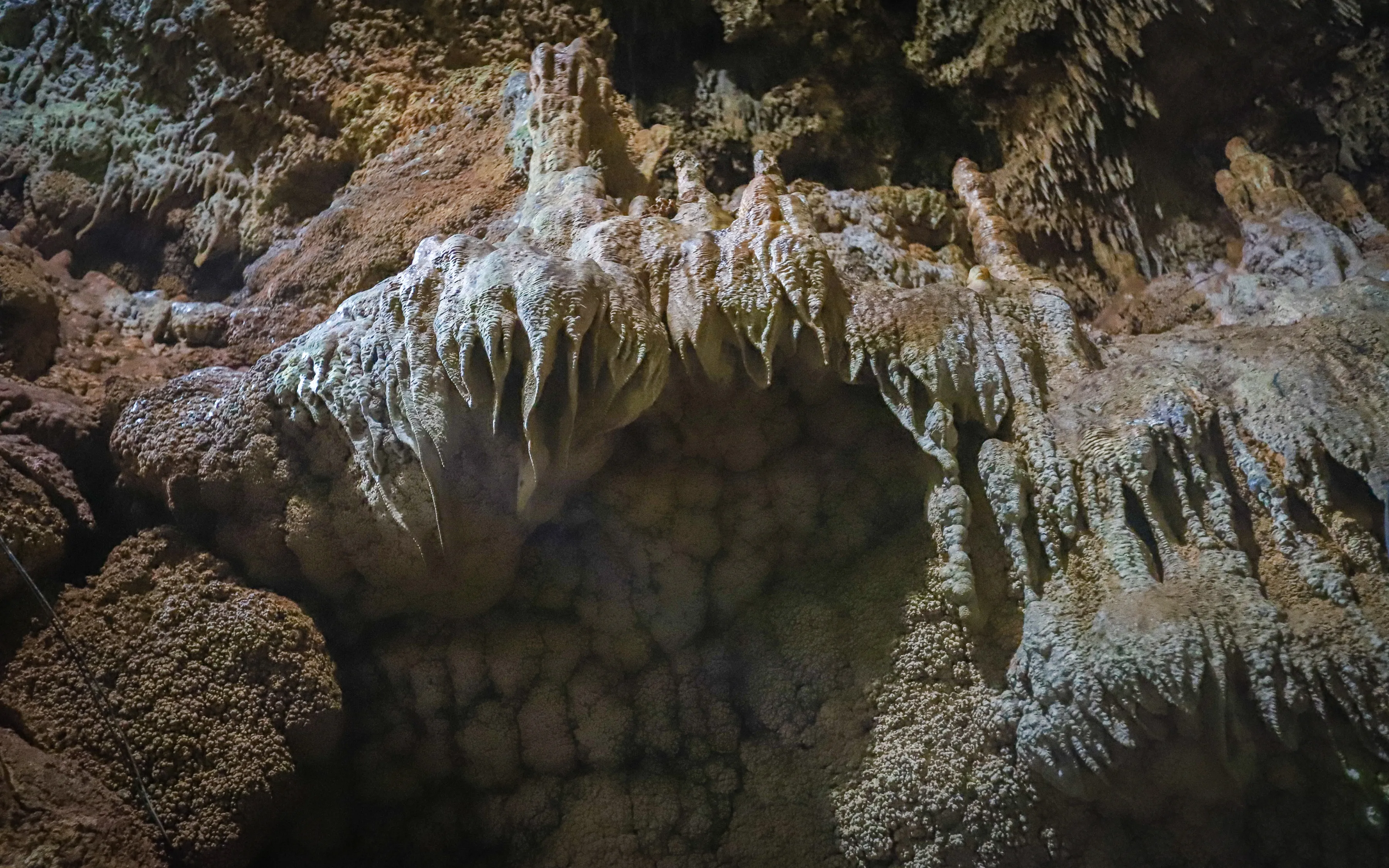 Swim in Cenote Tamcach-Ha