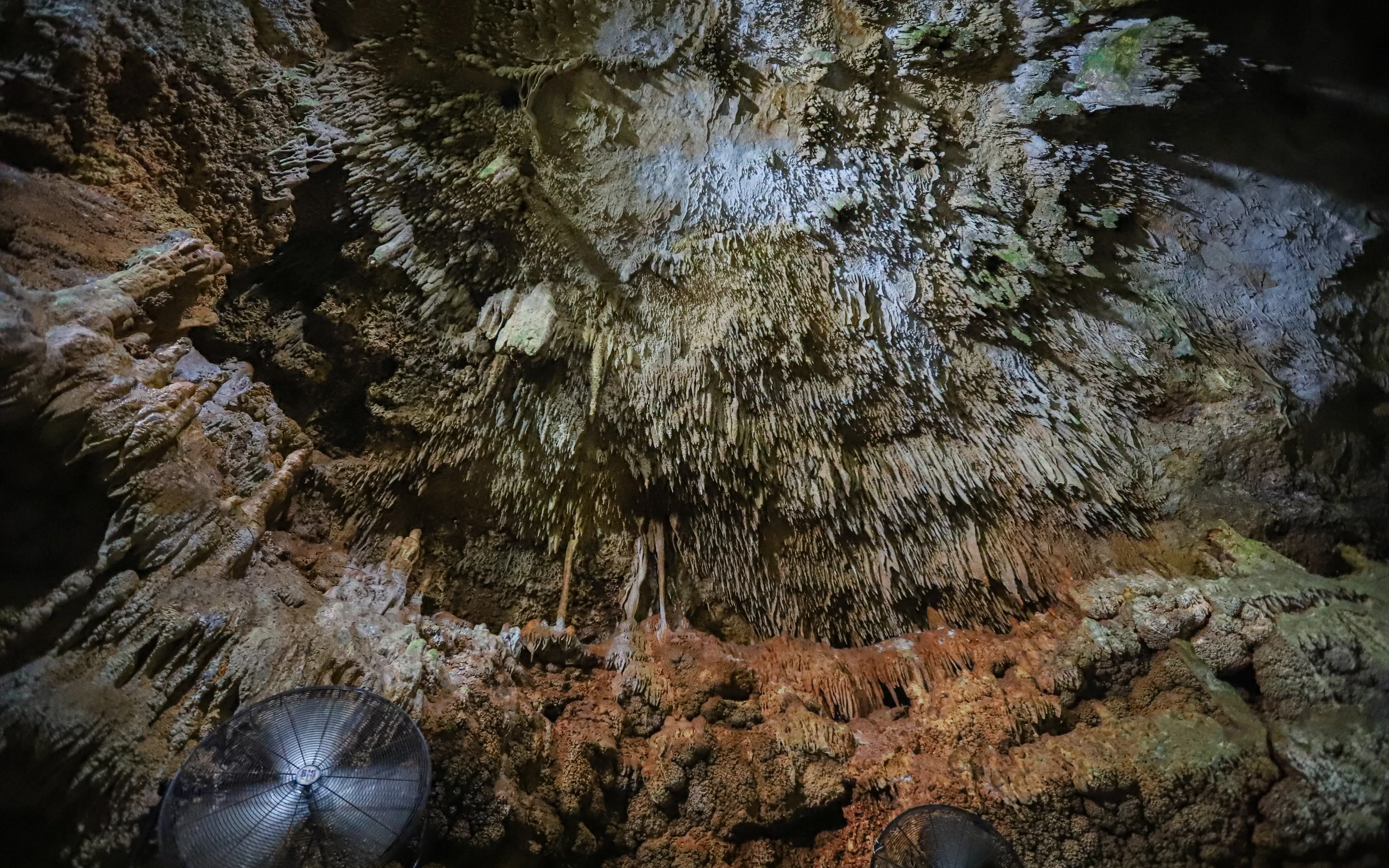 Swim in Cenote Tamcach-Ha