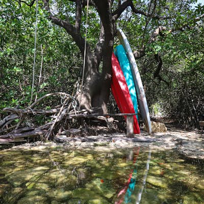 Swim in Cenote Encantado