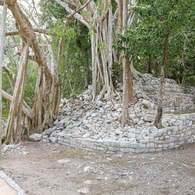 Explore Xel-Ha Archaeological Site