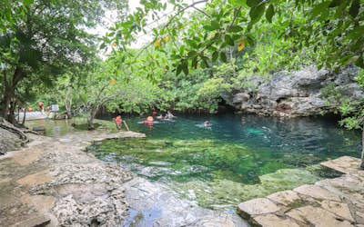 Swim in Cenote Cristalino