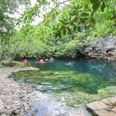Swim in Cenote Cristalino