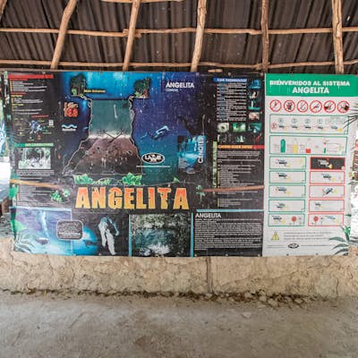 Swim in Cenote Angelita