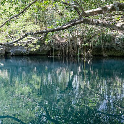 Swim in Cenote Angelita
