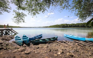 Explore Punta Laguna Monkey Reserve