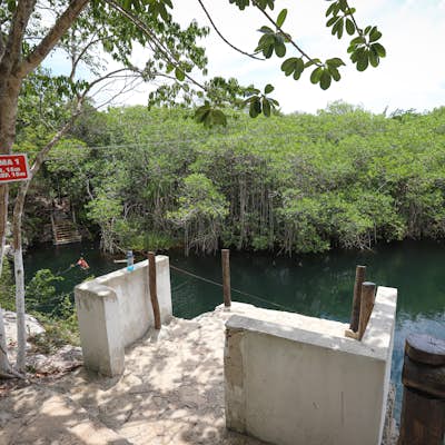 Swim in Cenote Jaguar