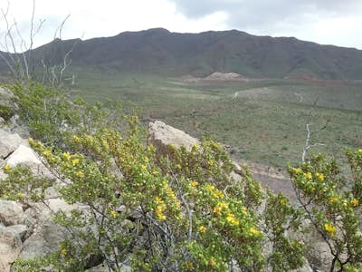 Granola Bowl Loop Trail