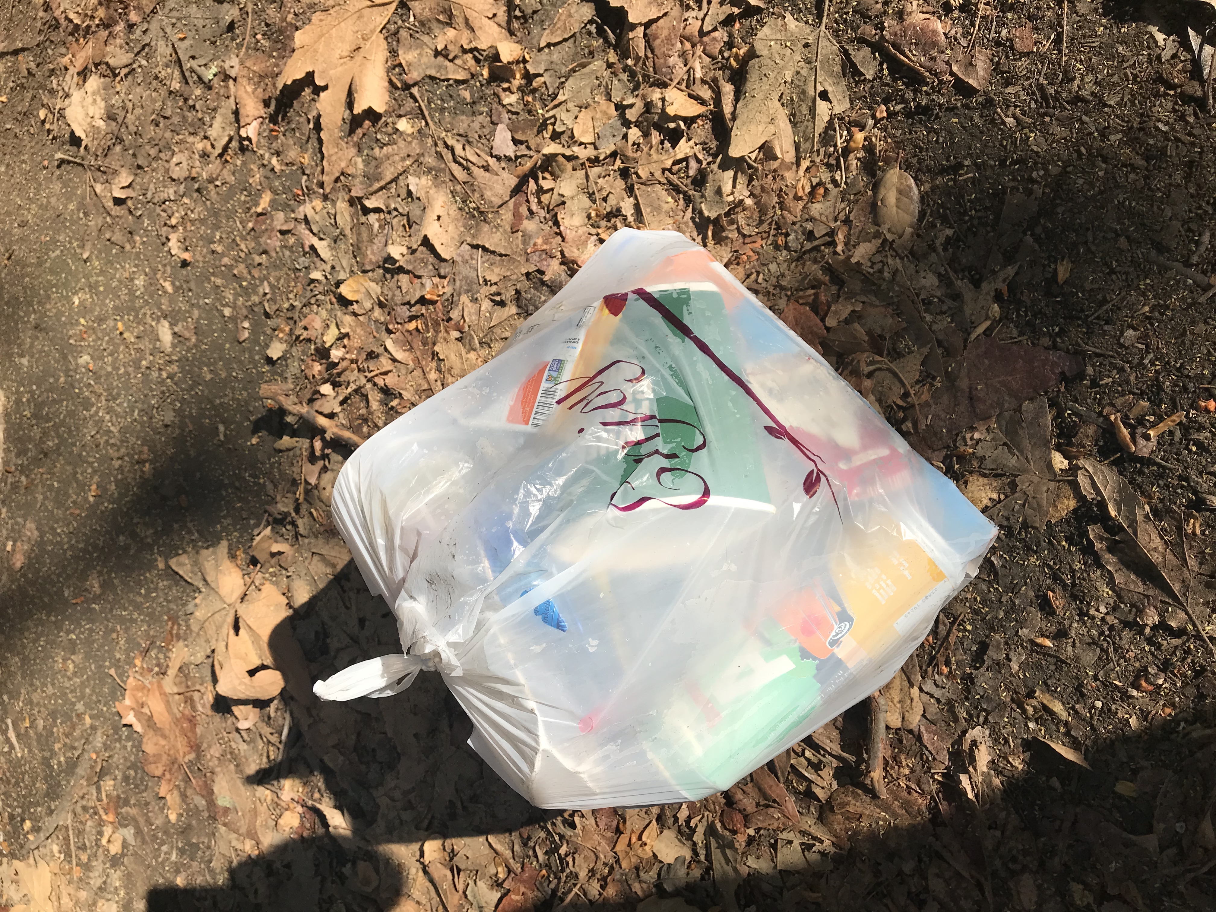 Mission Peak via Hidden Valley Trail