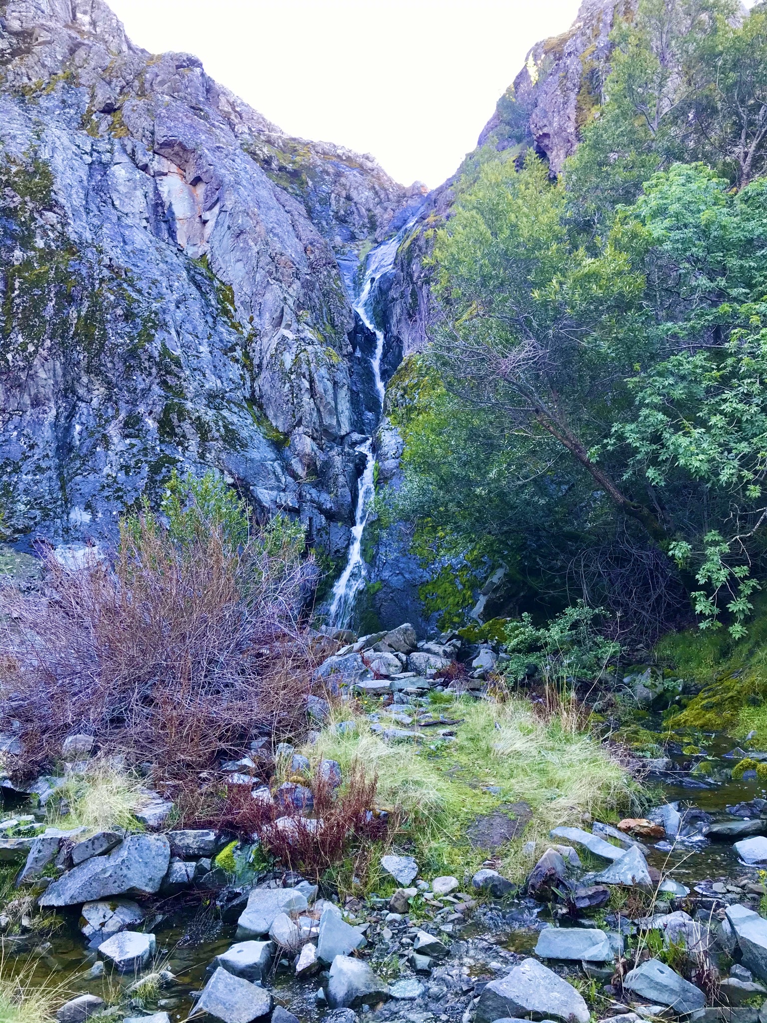 Hike to Murietta Falls, Livermore, California