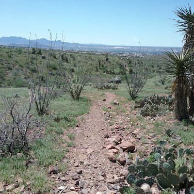 Hike the Mayberry Trail
