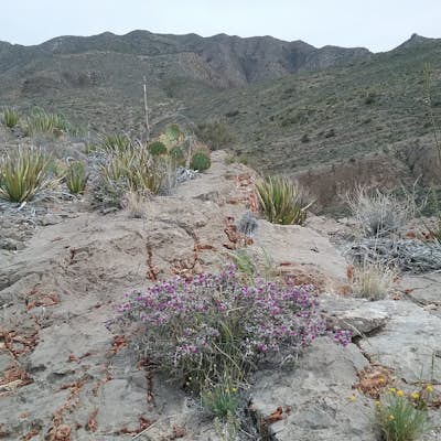 Hike the Lower Sunset Trail