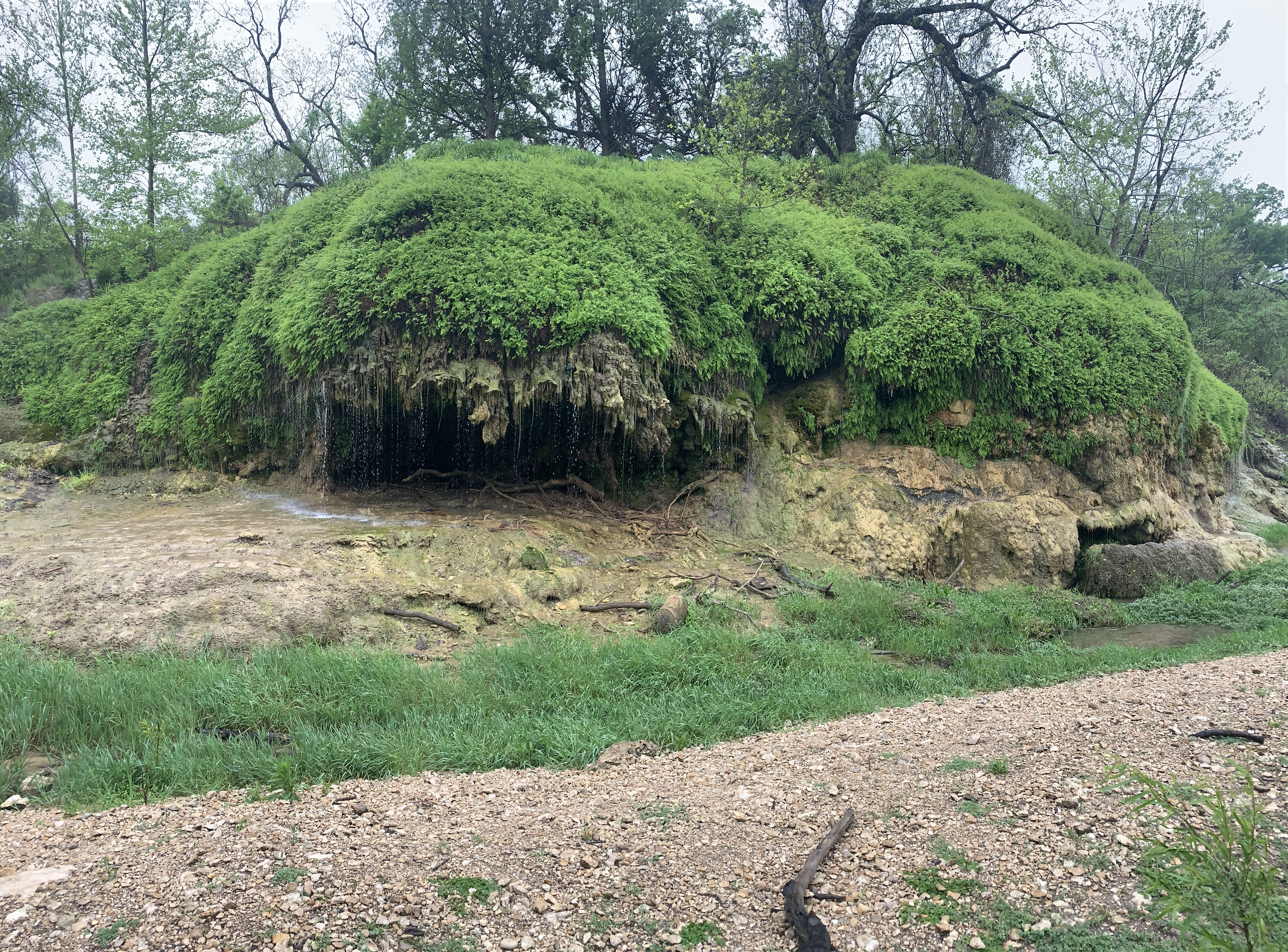 Crockett Gardens and Falls