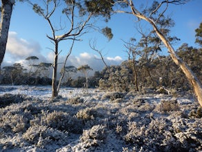 Hike the iconic Overland Track