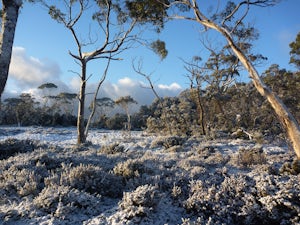 Hike the iconic Overland Track