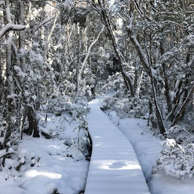 Hike the iconic Overland Track