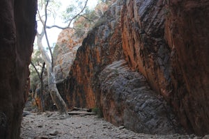 Hike through Standley Chasm - Angkerle Atwatye