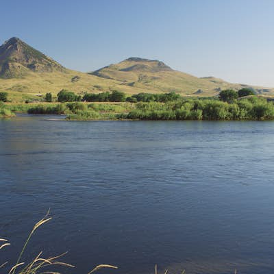 Fly Fish the Missouri River from Holter Dam to Cascade.