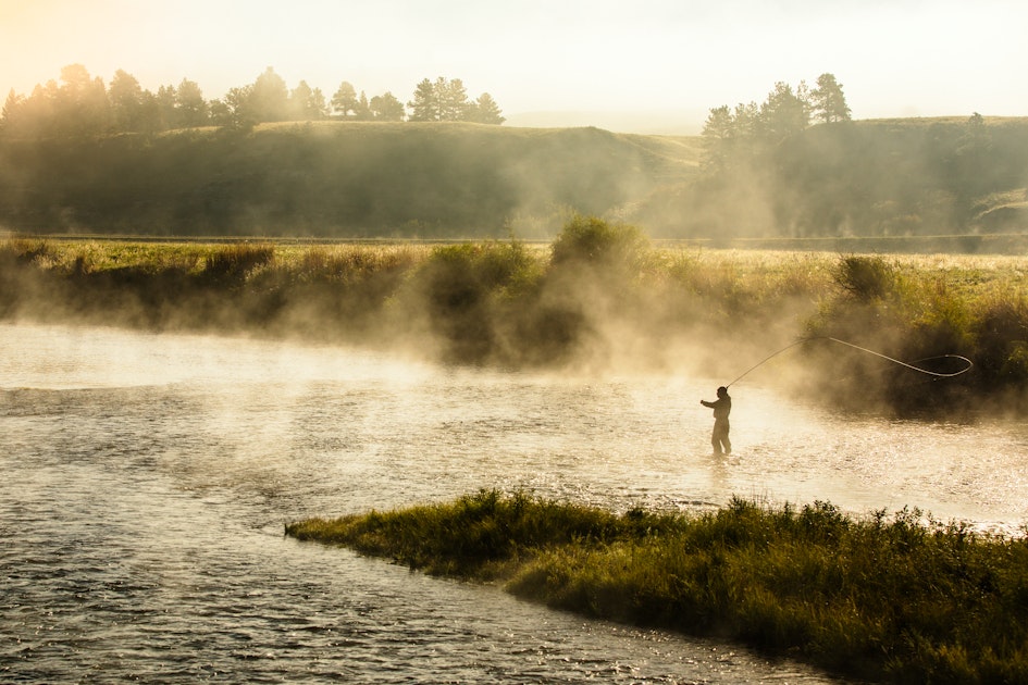 Fly Fish the Missouri River from Holter Dam to Cascade., Wolf Creek, Montana