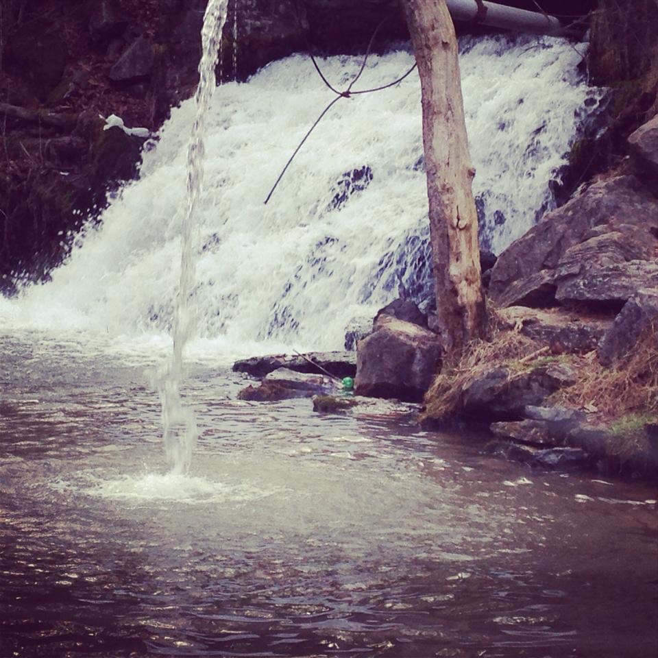 Buffalo Creek Falls