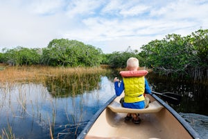 Explore the Wild Side of Florida at Everglades National Park