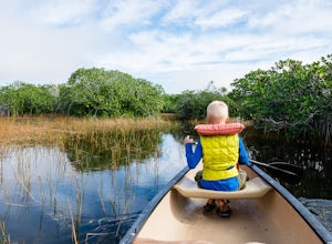 Explore the Wild Side of Florida at Everglades National Park