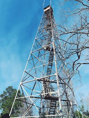 Climb the Unnamed Fire Tower in Tuscaloosa