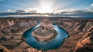 Earth Day 2020 Goes Online: How to Get Involved