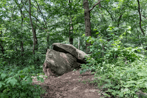 Hike the Bald Bluff Trail