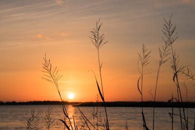 Catch Sunset on the Wild Shores of Back Bay National Wildlife Refuge