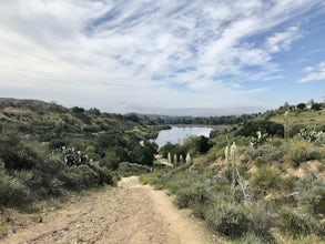 Hike the Bellview to Dove Lake Trail