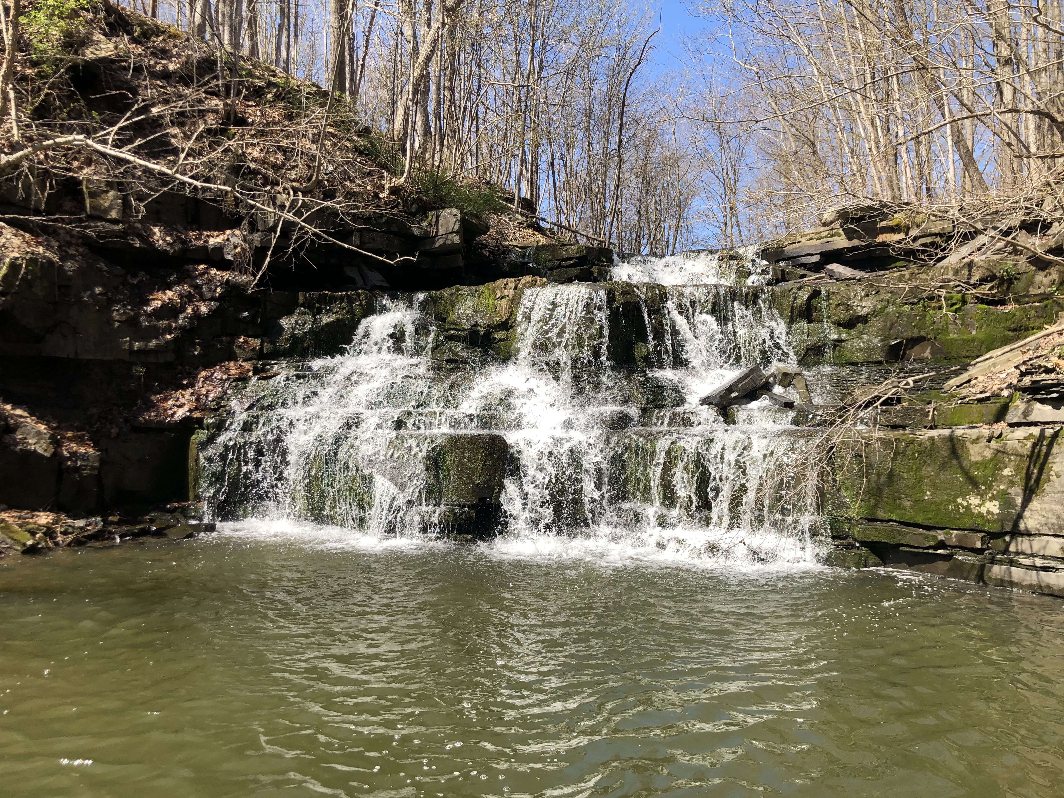 Wolf Creek Falls Preserve White Trail Loop