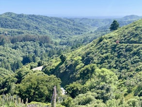 Dipsea Trail