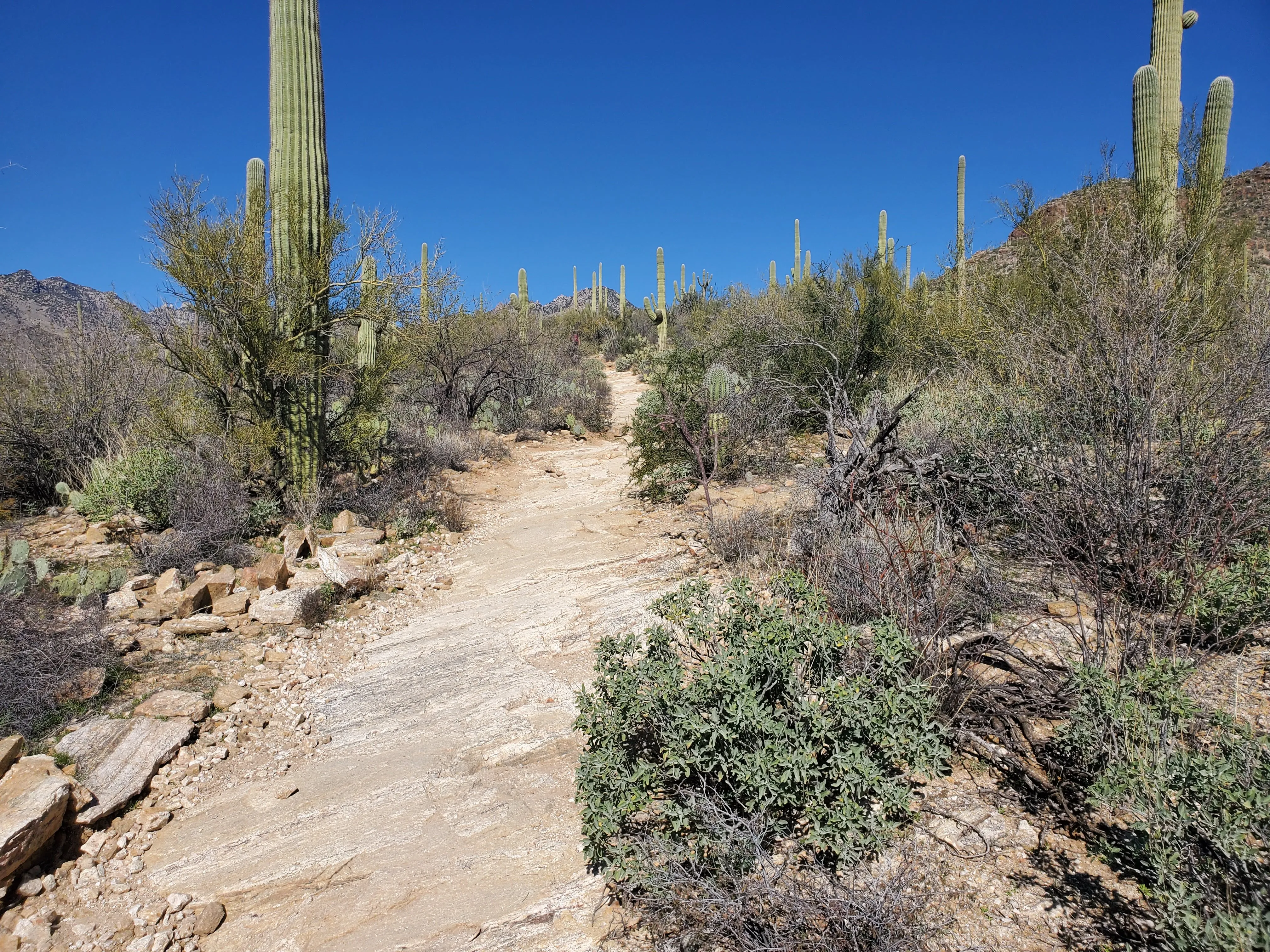 Hike Blackette's Ridge