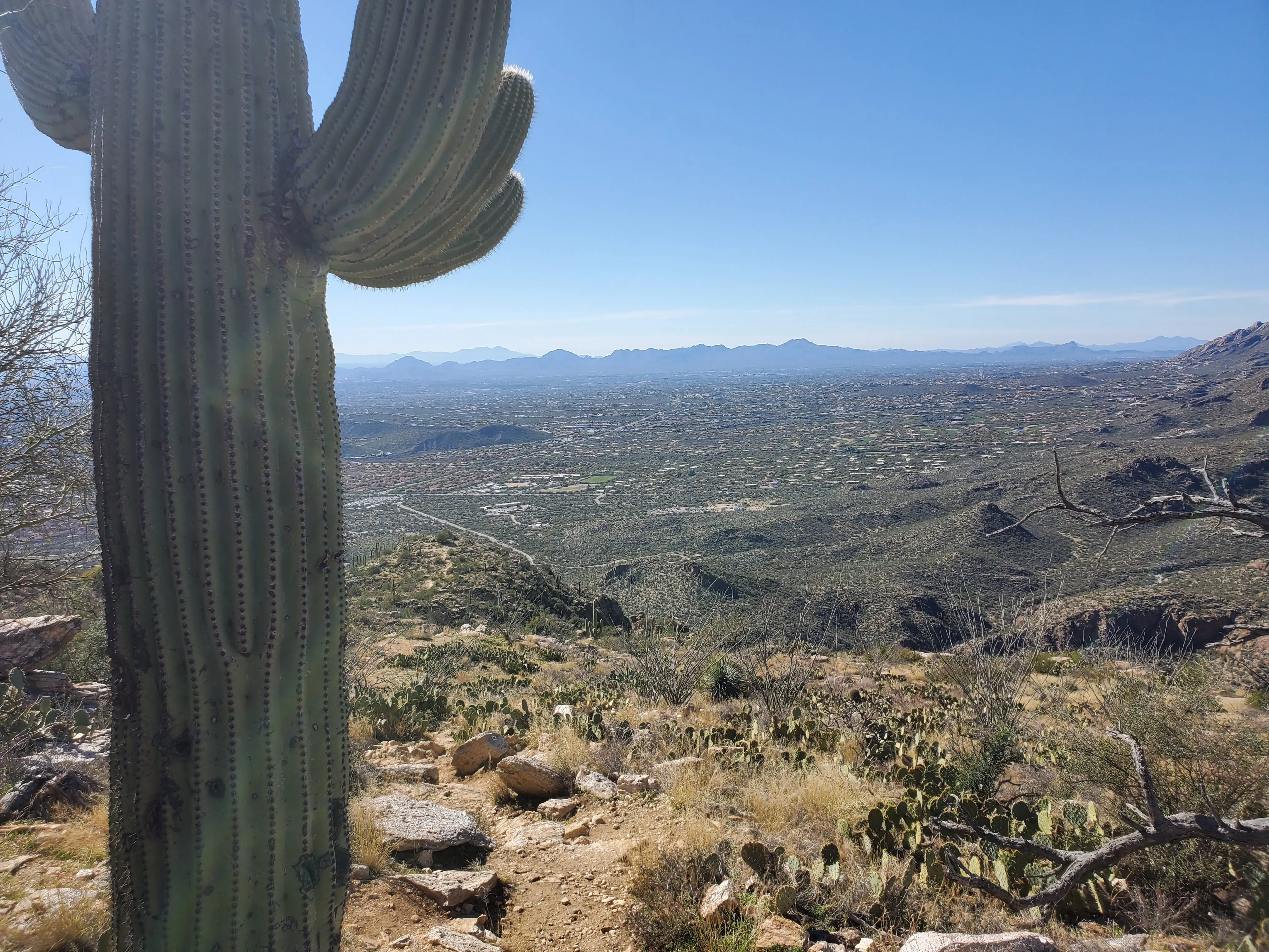 Hike Blackette's Ridge