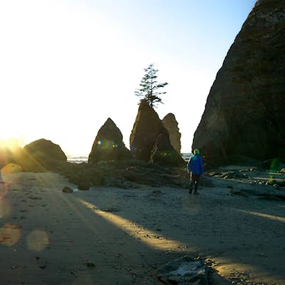 Hike to Shi Shi Beach - Point of the Arches