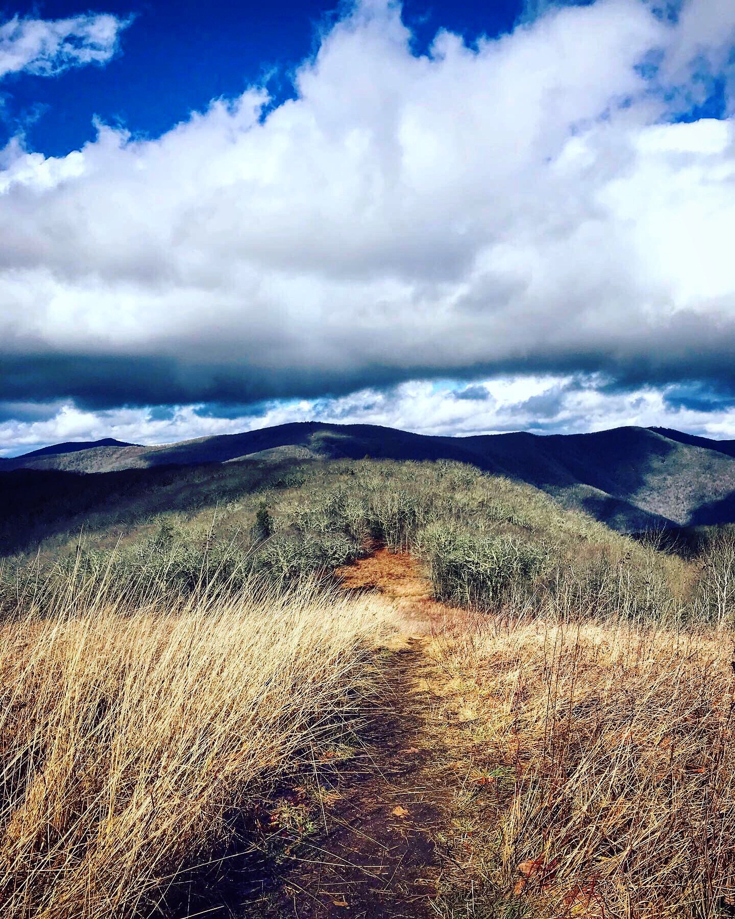 Siler Bald from Wayah Gap