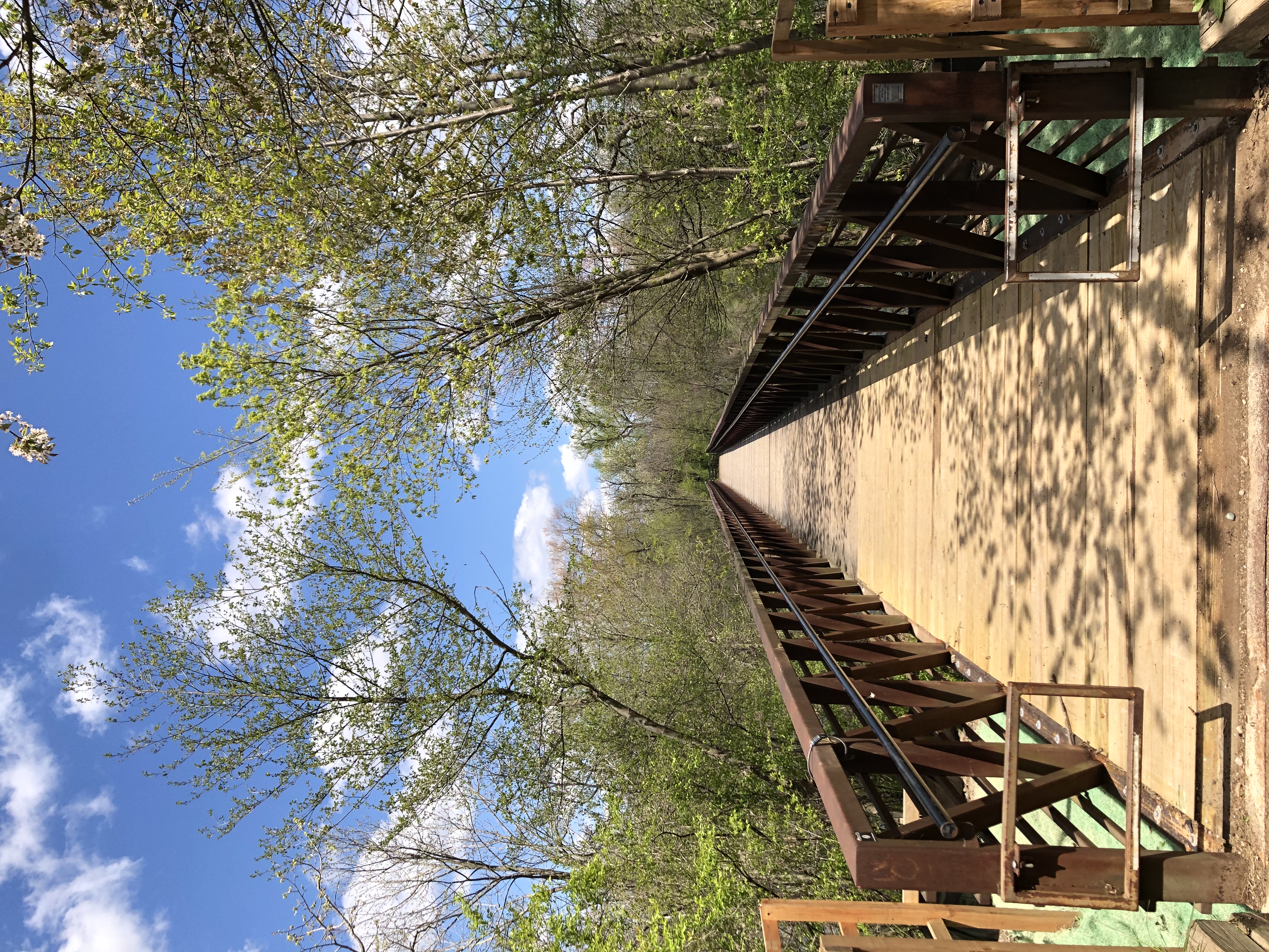 Hike Bird Hills Nature Area