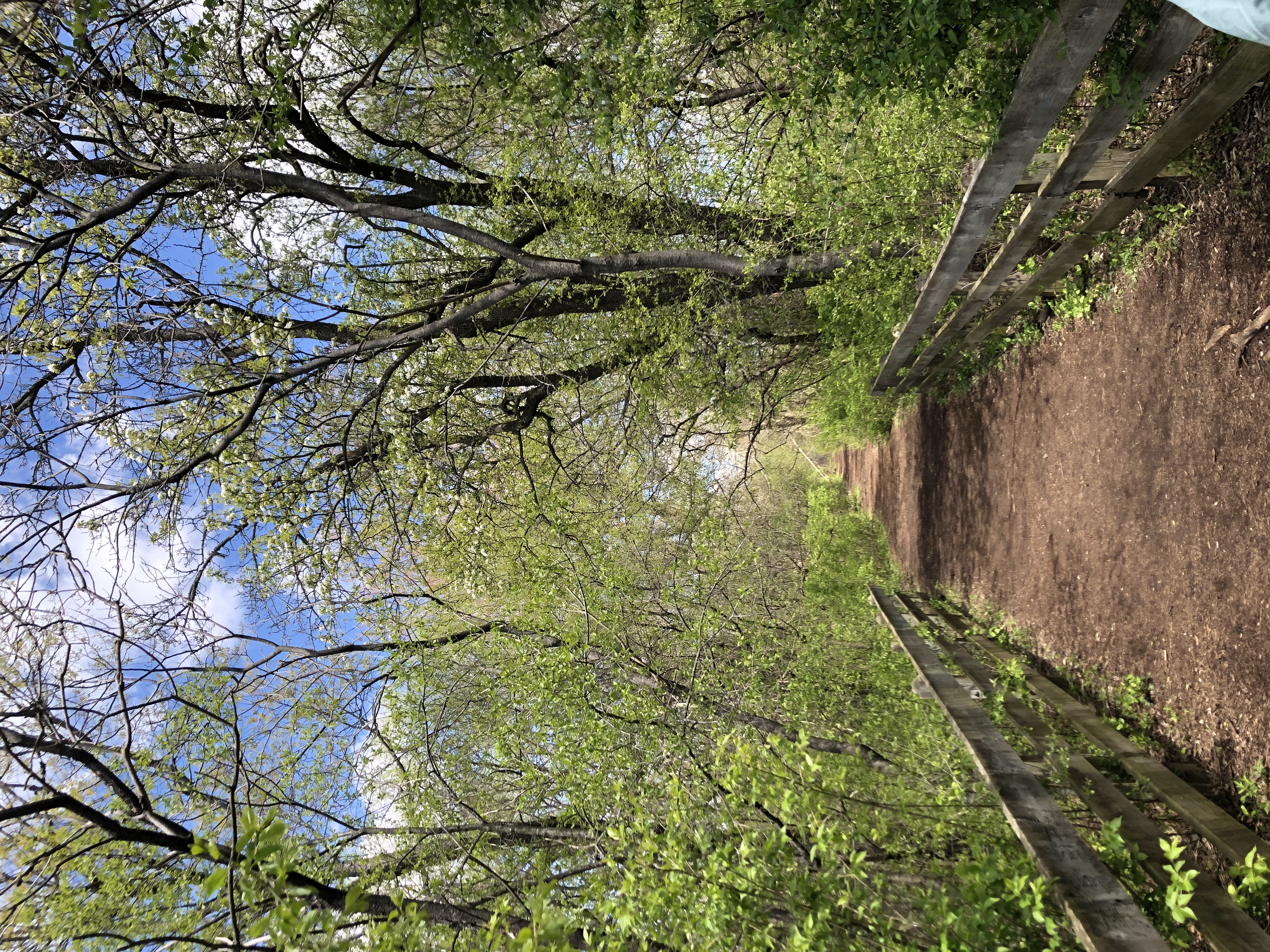 Hike Bird Hills Nature Area