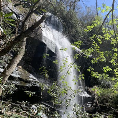 Hike to Falls Branch Falls