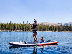 Tips for Stand Up Paddlers With Dogs
