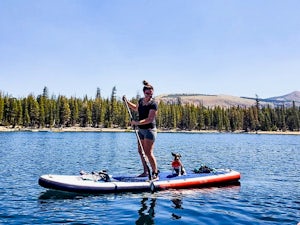 Tips for Stand Up Paddlers With Dogs