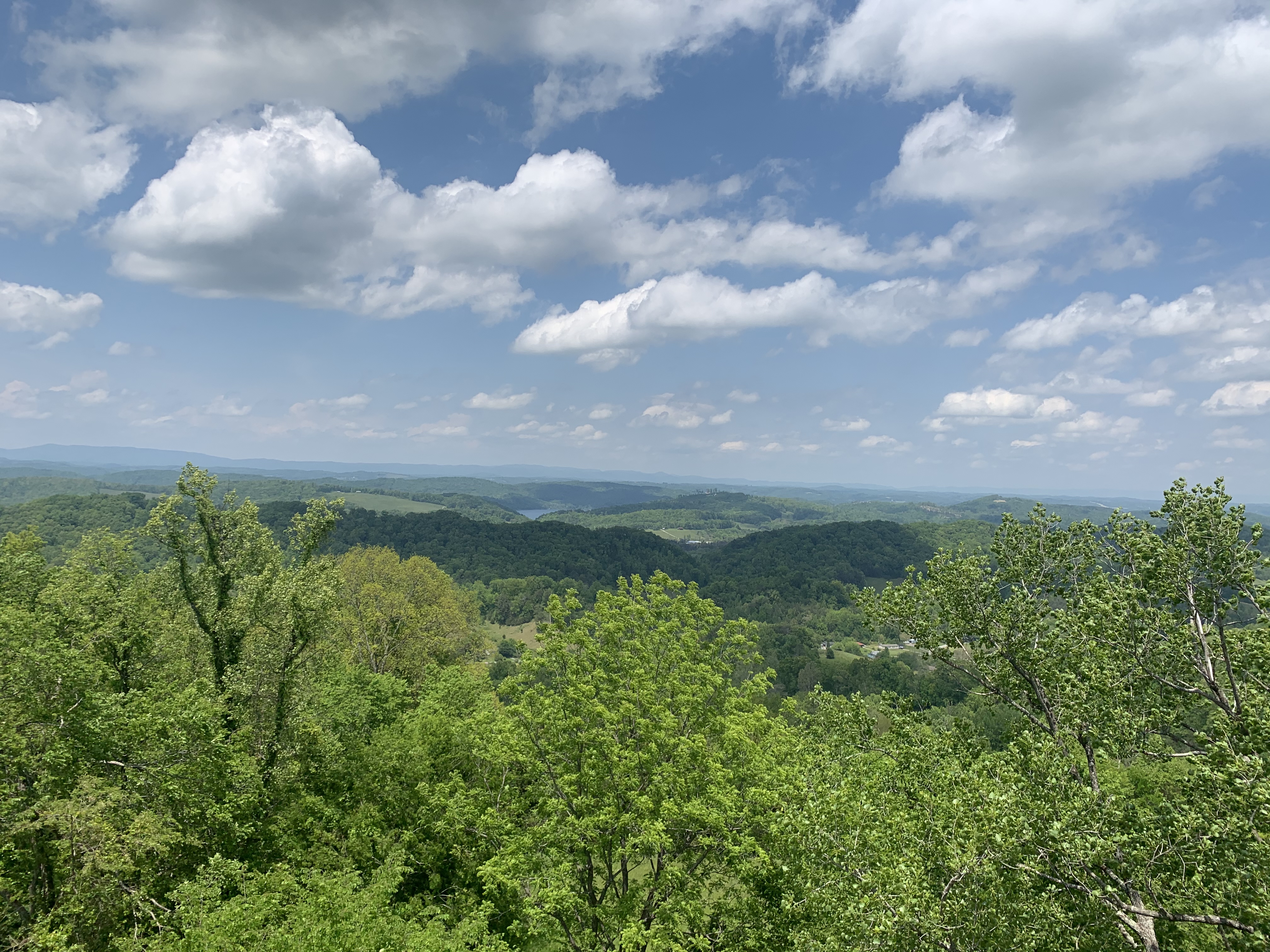 Photograph the Maynardville Fire Tower