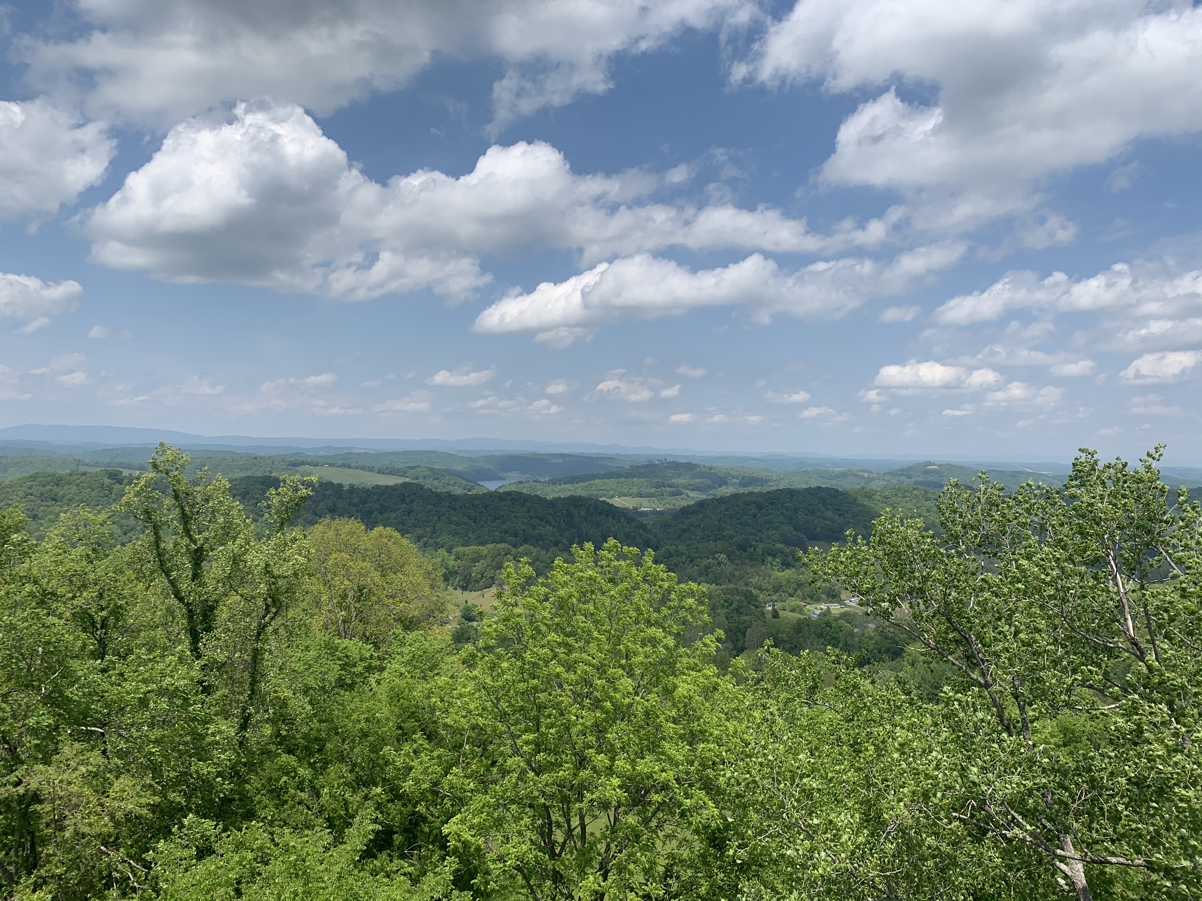 Photograph the Maynardville Fire Tower
