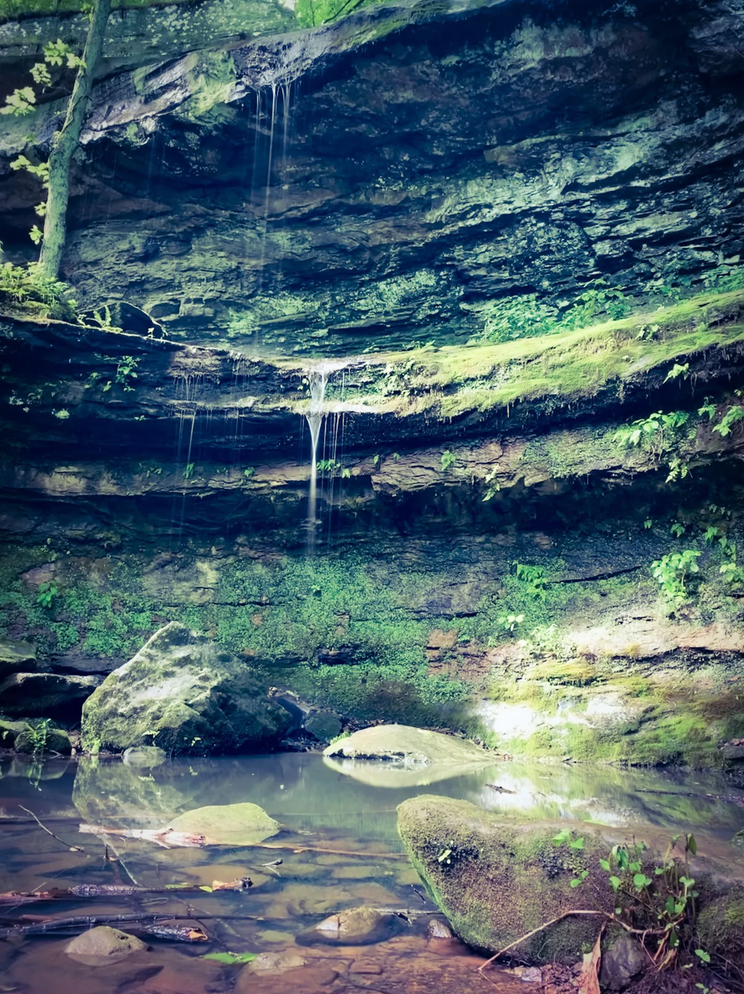 Hike Rocky Bluff Trail
