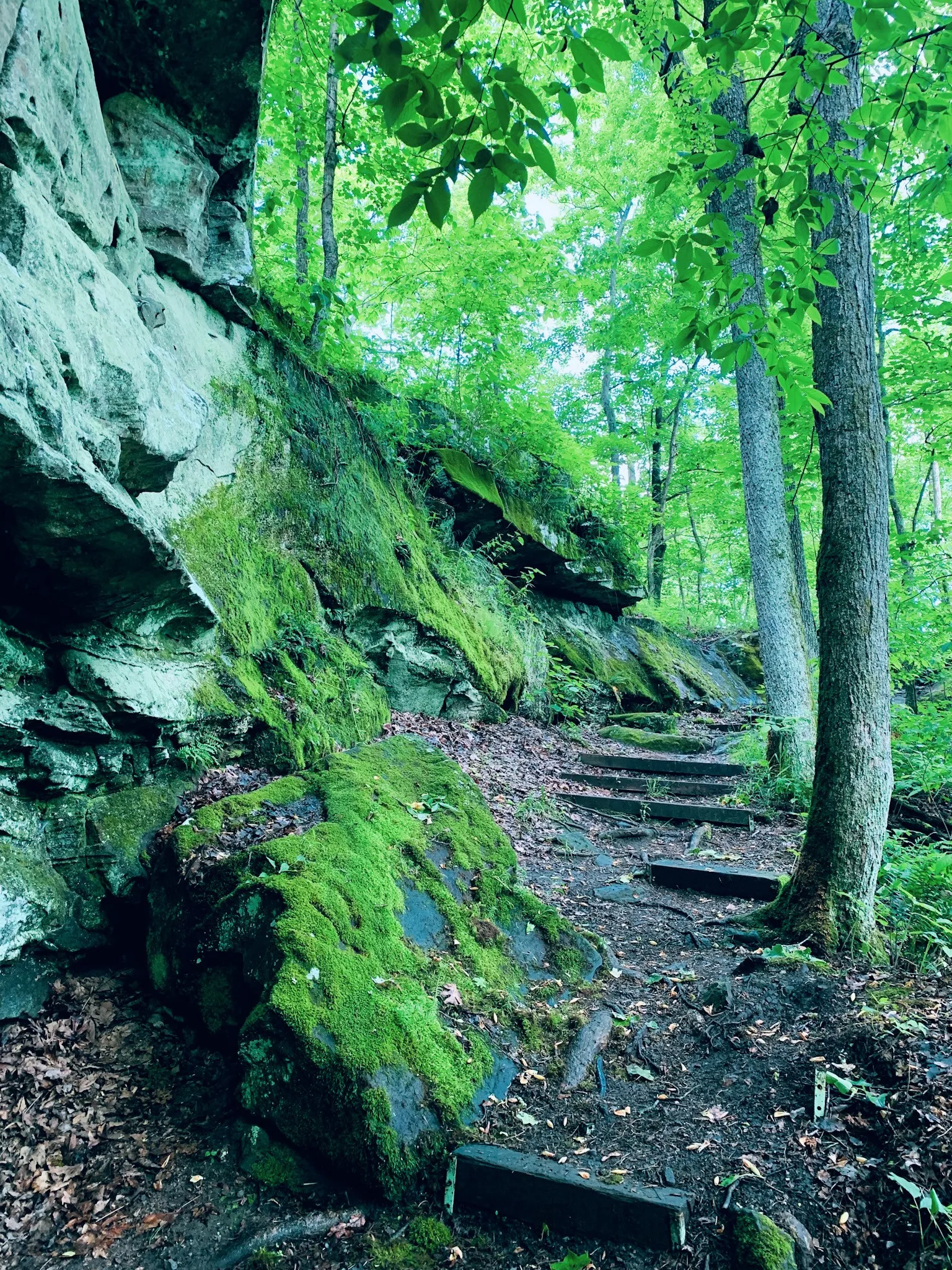 Hike Rocky Bluff Trail